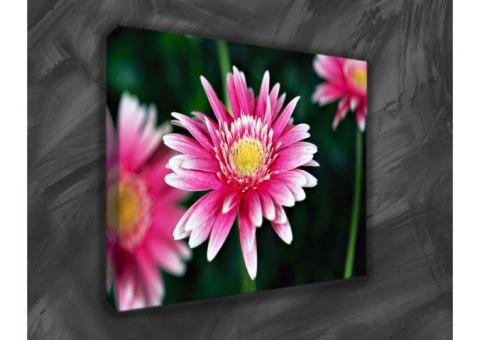 Highly Affordable Canvas Photo Prints
