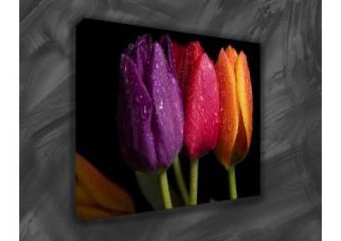 Highly Affordable Canvas Photo Prints